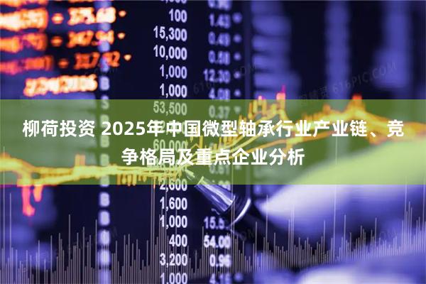 柳荷投资 2025年中国微型轴承行业产业链、竞争格局及重点企业分析