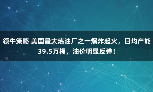领牛策略 美国最大炼油厂之一爆炸起火，日均产能39.5万桶，油价明显反弹！