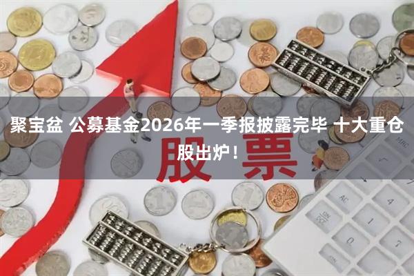 聚宝盆 公募基金2026年一季报披露完毕 十大重仓股出炉!