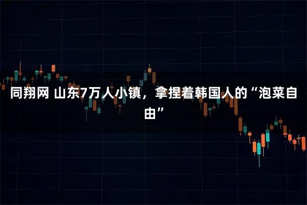 同翔网 山东7万人小镇，拿捏着韩国人的“泡菜自由”