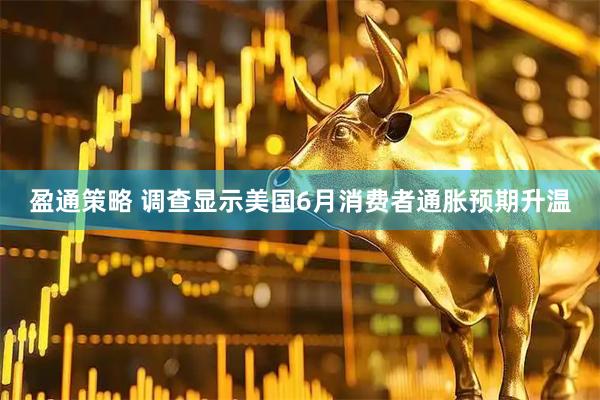 盈通策略 调查显示美国6月消费者通胀预期升温